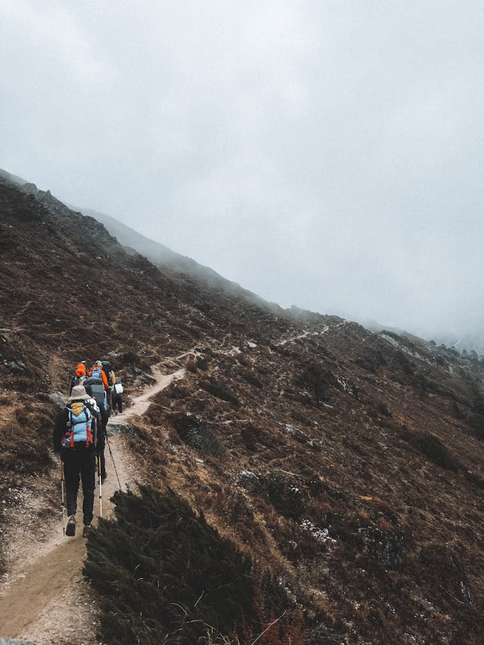 Group of hikers walking on a misty mountain path in Nepal's Himalayas, surrounded by nature.