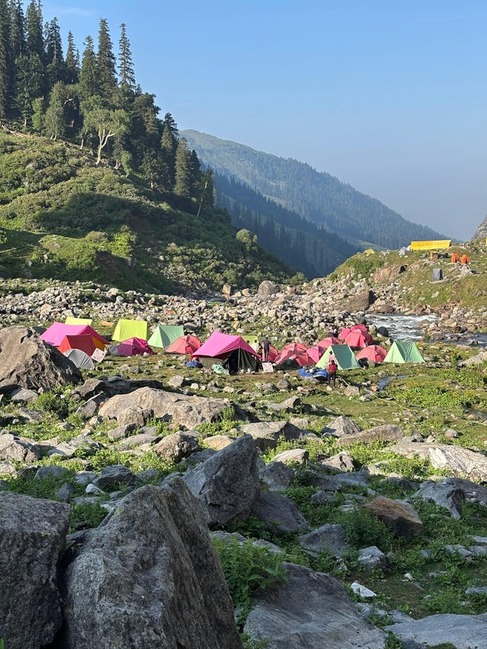 Vibrant camping scene amidst lush greenery in Manali, Himachal Pradesh, India.